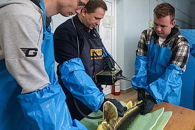 Специалистов для рыбоводства готовят в БГСХА