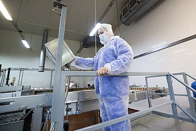 Развитие сырьевой базы и увеличение выпуска продукции. Турчин посетил Оршанский мясоконсервный комбинат