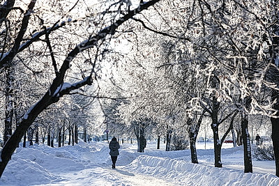 Солнечный январский день в Минске