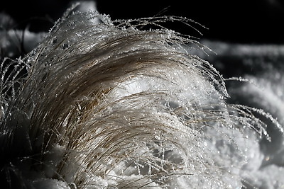 ФОТОХРОНИКА начинает новый информационный день