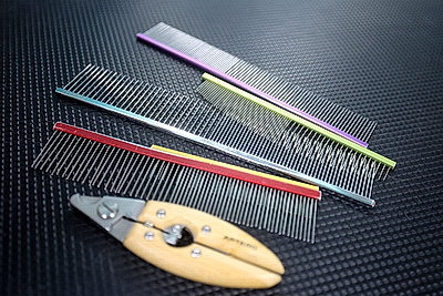 Школьник из Гродно нашел себя в груминге после первой стрижки своего йорка