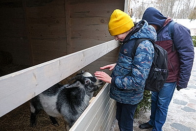 Живой рождественский вертеп появился у Коложской церкви в Гродно