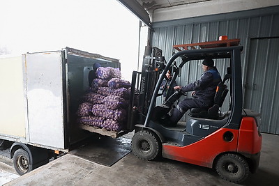 Как в Гродненской области хранят и реализуют плодоовощную продукцию