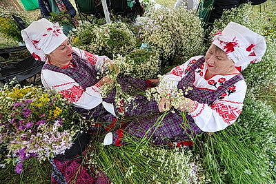 Праздник, соединяющий традиции и сердца. В Шкловском районе с размахом проходит \"Купалье\"