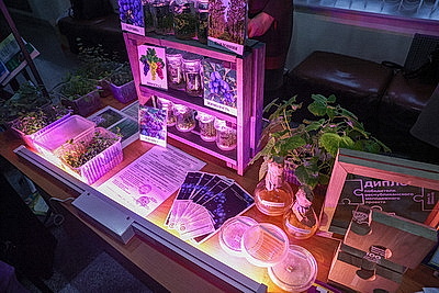 Сергеенко с рабочей поездкой посещает Пинск