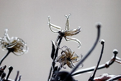 Стеклянный дождь в Гродно