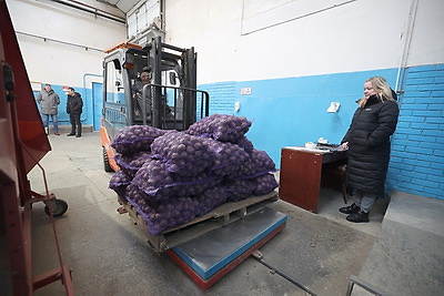 Как в Гродненской области хранят и реализуют плодоовощную продукцию
