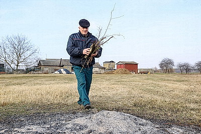 В Брестской области в марте произошло более 120 загораний травы и кустарников