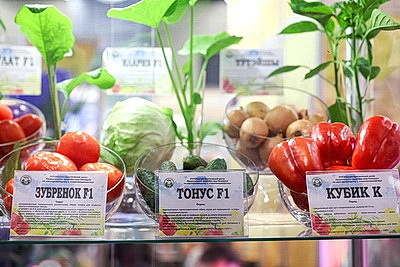 Белорусская агропромышленная неделя стартовала в Минске