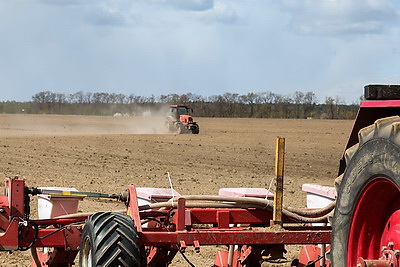 \"Погода испытывает на прочность, но мы не пасуем\". В Быховском районе активно сеют кукурузу на зерно
