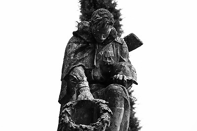 \"Почтить память предков и показать пример другим\". В Беларуси стартовал проект \"Цветы Великой Победы\"