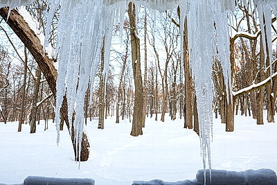Солнечный январский день в Минске