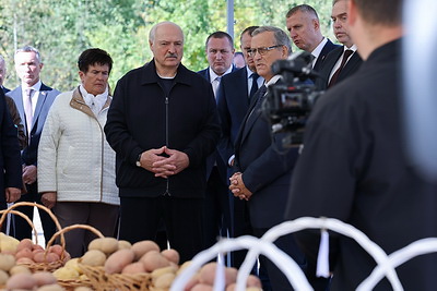 Лукашенко предлагает в перспективе увеличивать в Беларуси площади под картофель