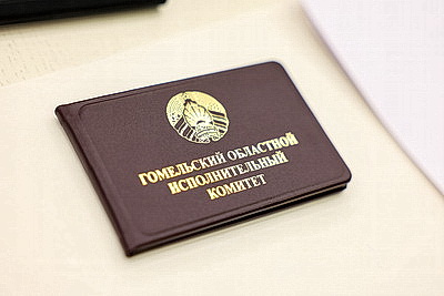 Пархамовича представили гомельской вертикали в должности председателя горисполкома