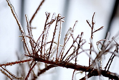 Стеклянный дождь в Гродно