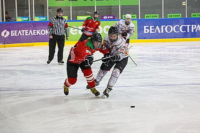 \"Огненные рыси\" из Гомельского района выиграли \"старший\" финал \"Золотой шайбы\" в дивизионе \"Б\"