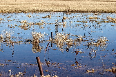 Ждать ли большой воды этой весной: МЧС о паводковой ситуации