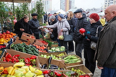 Овощи прямо с грядки. В Могилеве прошла большая сельхозярмарка