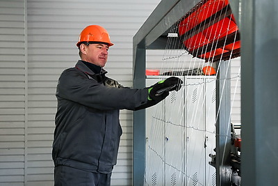 Что делают в Минской области для снижения количества ДТП с дикими животными