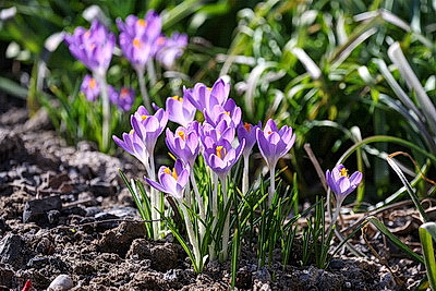 ФОТОХРОНИКА начинает новый информационный день