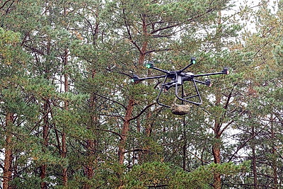 От квадроциклов и дронов до миномета. Под Гомелем прошли учения подразделений теробороны