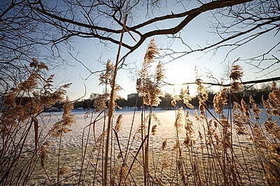 Первый весенний день