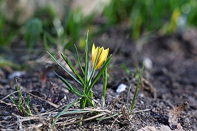 ФОТОХРОНИКА начинает новый информационный день