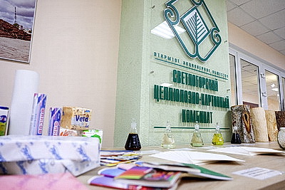 Диверсификация рынков сбыта, новый инвестпроект. Турчин оценил ситуацию на Светлогорском ЦКК