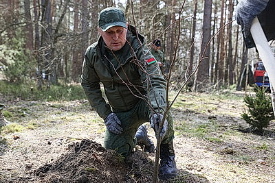Более 5 тыс. жителей Брестской области присоединились к акции \"Лес! Дабро! Парадак!\"