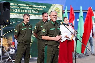 Лучших лесорубов Гомельщины определили на областных соревнованиях