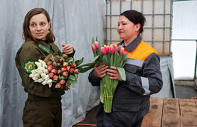Более 15 тыс. луковиц тюльпанов высадили лесоводы Петриковского лесхоза в нынешнем сезоне