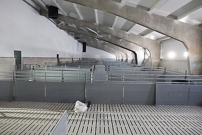 Крутой с рабочей поездкой посетил Климовичский район