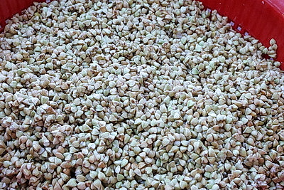 Грильяж и макароны - из гречки. Как новаторские продукты аспирантки БГУТа получают международное признание