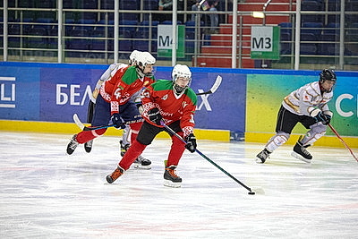 \"Огненные рыси\" из Гомельского района выиграли \"старший\" финал \"Золотой шайбы\" в дивизионе \"Б\"