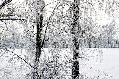 Ночью до -25..-30°С ожидается в Беларуси 15 января