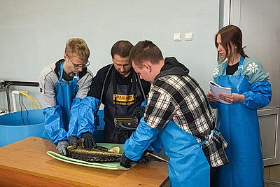 Специалистов для рыбоводства готовят в БГСХА