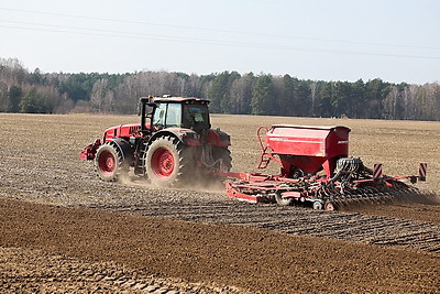Механизаторы в Мостовском районе начали сев гороха