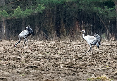 ФОТОХРОНИКА начинает новый информационный день