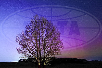 Полярное сияние в небе над Беларусью