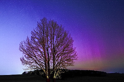 Полярное сияние в небе над Беларусью