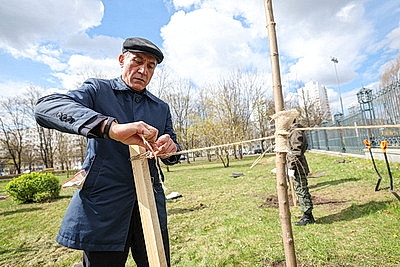 Аллея к 25-летию ШОС заложена в Минске