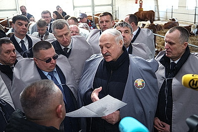 Лукашенко ознакомился с развитием мясного скотоводства и молочной отрасли