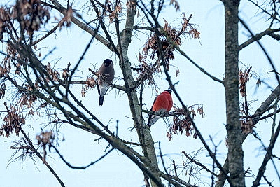 ФОТОХРОНИКА начинает новый информационный день