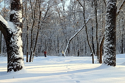 Морозный зимний день: снегопад не повод сидеть дома для активных жителей