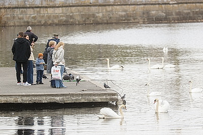 Яркие краски брестских улиц