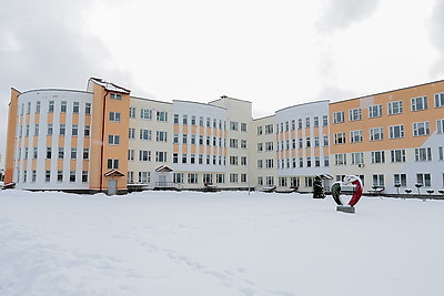 Около 100 аистов, сделанных учащимися и педагогами витебской СШ №46, украсили школьную экспозицию