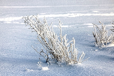 Ночью до -25..-30°С ожидается в Беларуси 15 января