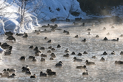 Зимний пейзаж