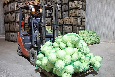 Как в Гродненской области хранят и реализуют плодоовощную продукцию