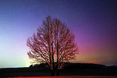 Полярное сияние в небе над Беларусью